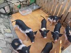 -HERRE·FARM 赫尔露营农场·团建聚会包场