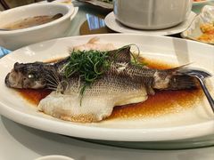 -国龙大酒店-中餐厅