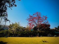 -纪念孙中山市政公园
