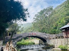 -洛阳花果山景区