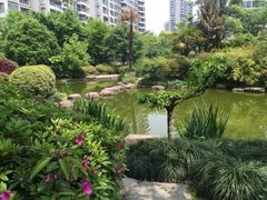 -新湖明珠城
