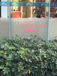 -榕树上·瑜伽普拉提