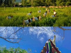 -禅宗少林·音乐大典