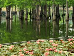 -白鹭湾湿地公园