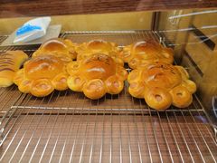 -乡田小墅(展览馆路JK FUN商城店)
