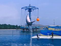 -秦皇岛乐岛海洋王国