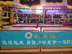 -武易极武术·体能·搏击培训(新年华购物中心店)