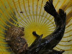 -鑫鸿达·海鲜闽菜热炒小馆(中山路店)