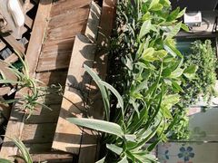 -艾加柒克蛋糕茶歇甜品台(春熙路店)