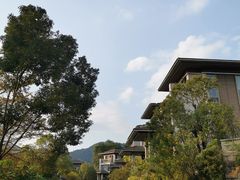 -广州市流溪河国家森林公园