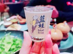 -bluefrog蓝蛙(石家庄欢乐汇店)
