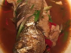 家常焖黄花鱼-长崎家日式料理(人民大街店)