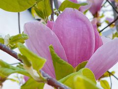 -TIMEZONE8东八时区餐厅&酒吧(798店)