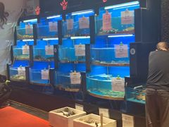 水产区-董大蒸货(方塔园店)