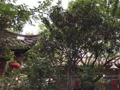 -四方小吃·白族庭院餐厅