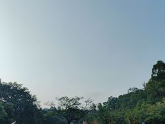 -南沙蒲洲花园