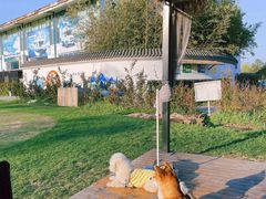 -TIPPI营地 房车主题·露营烧烤团建轰趴(天安假日店)