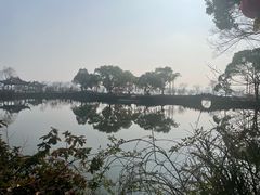-无锡蠡湖国家湿地公园-蠡园