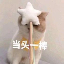 -花师傅
