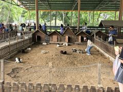 -秦皇岛野生动物园