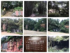 -峨眉山报国寺