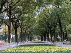 -上海鲜花港