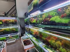 -华声天桥民俗文化园