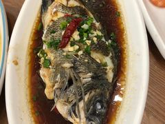 -洲晓鲜·舟山海鲜大排档(朱家尖风景区店)