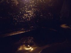 iphone_upload_pic-青城道汤池