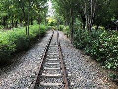 -西青郊野公园
