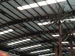 -南宫温泉水世界