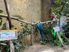 -杭州开元森泊度假乐园