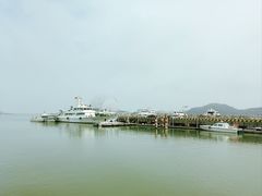 -野狸岛