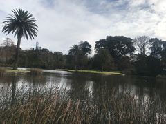 -墨尔本皇家植物园