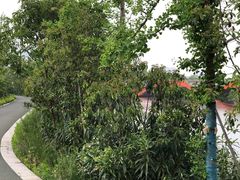 -皇粮浜公园