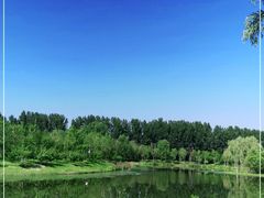 -东郊湿地公园