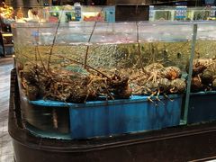 -阿伟海鲜楼·福建菜(延寿店)