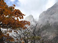 -黄山风景区