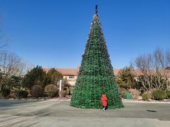 -南宫五洲植物乐园