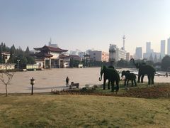 -葛仙湖公园