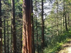 -山王坪喀斯特国家生态公园