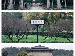 -武汉长江大桥