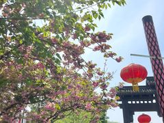 -老头儿油爆虾(胜利河美食街店)