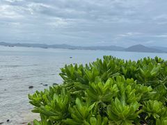 -三亚西岛海洋文化旅游区