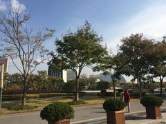 -东华大学(松江校区)