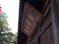 -大觉寺-停车场