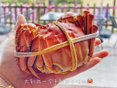 -莲花岛景区