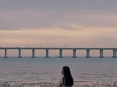 -宝安西湾红树林湿地公园