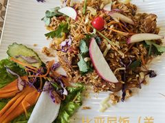 比亚尼饭（羊肉）-拉萨厨房