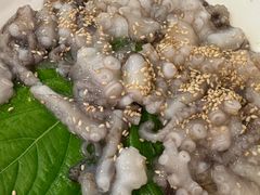 -黄金牧场(明洞总店)